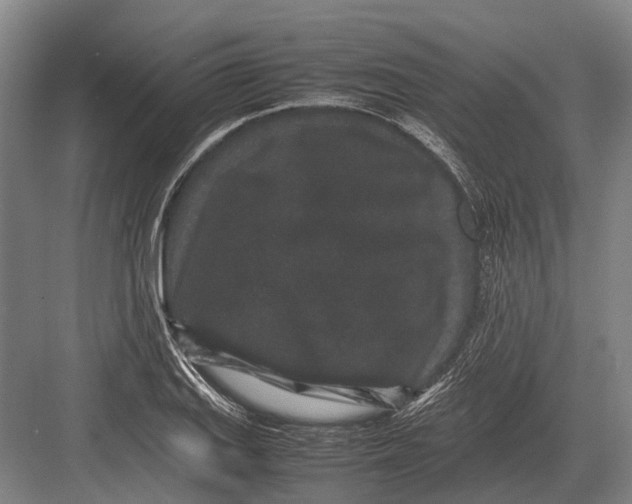 X0000082741127200702161926