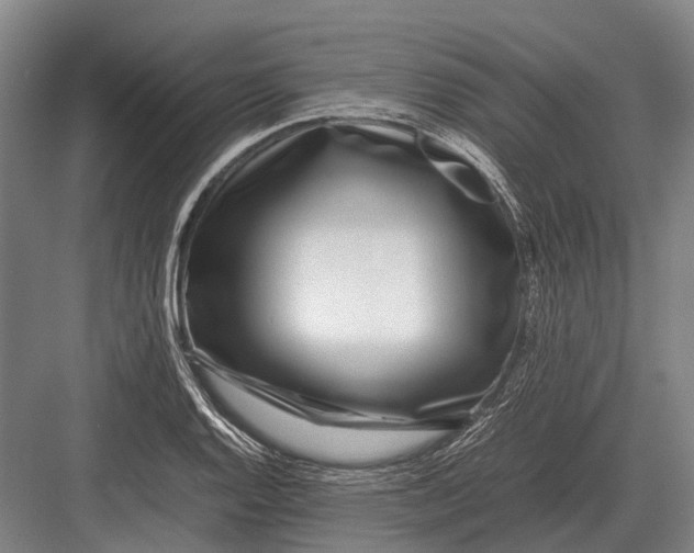 X0000082741128200702161926