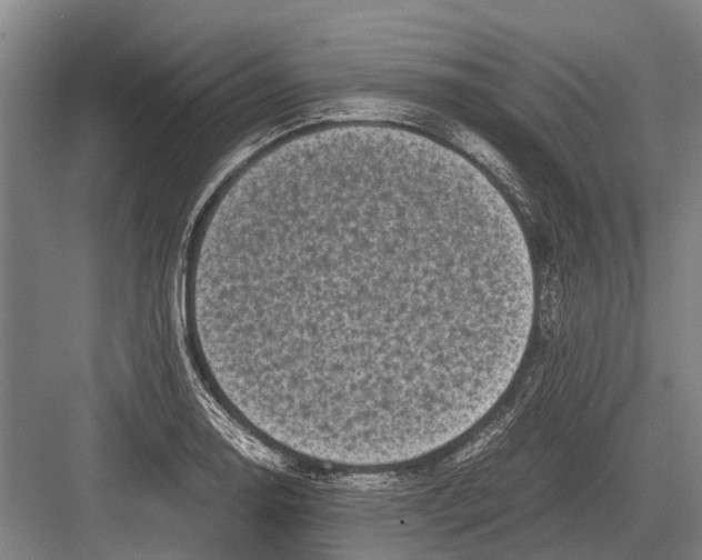 X0000082741130200702161926