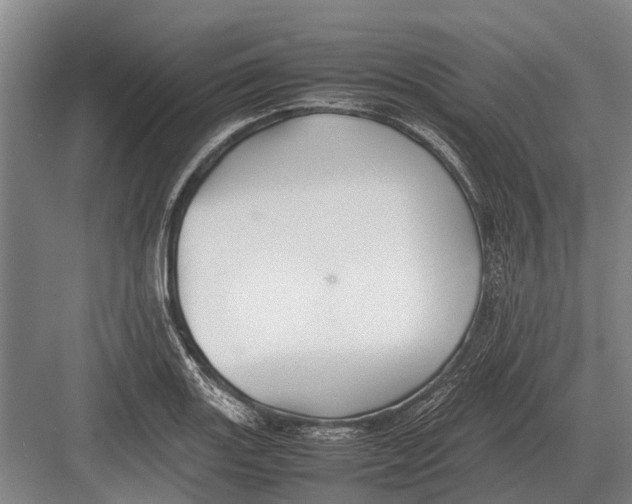 X0000082741131200702161926