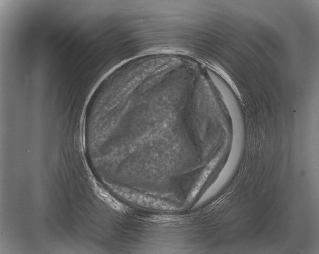 X0000082741132200702161926