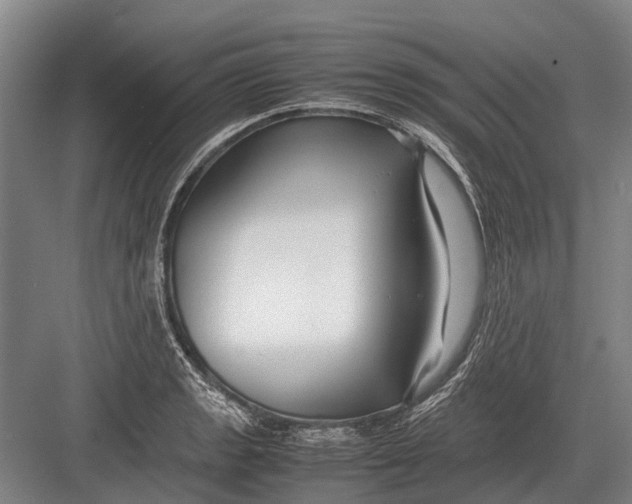 X0000082741133200702161926