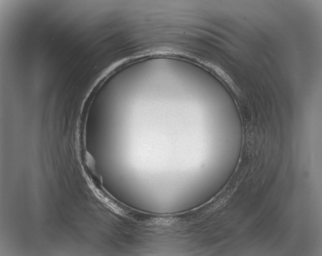 X0000082741134200702161926