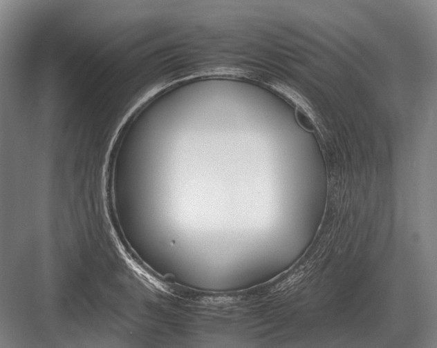 X0000082741135200702161926