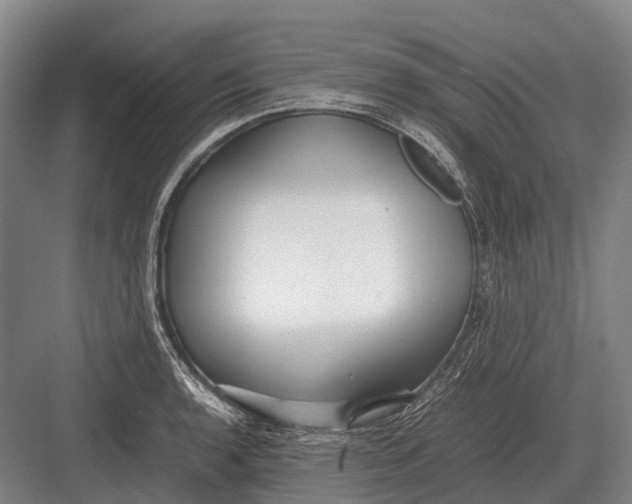 X0000082741136200702161926