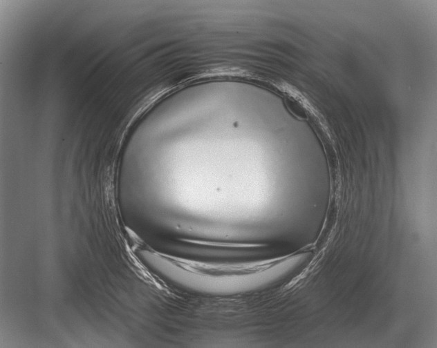 X0000082741137200702161926