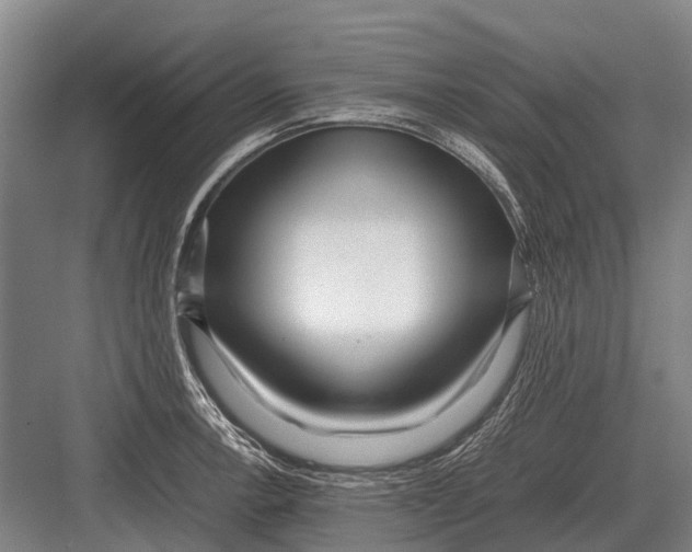 X0000082741138200702161926