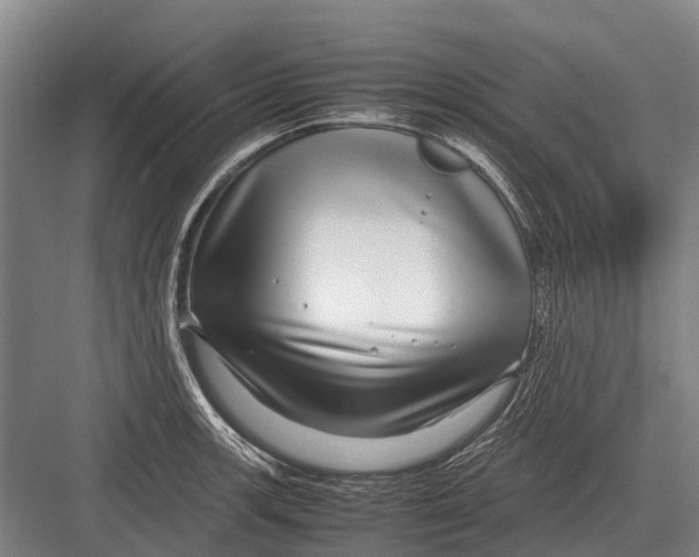 X0000082741139200702161926