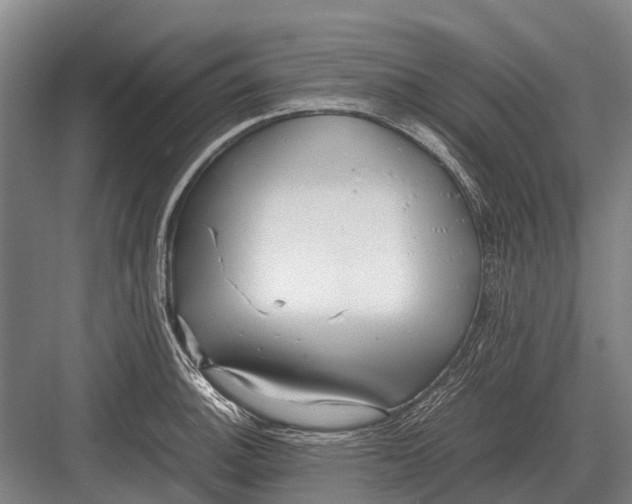 X0000082741140200702161926