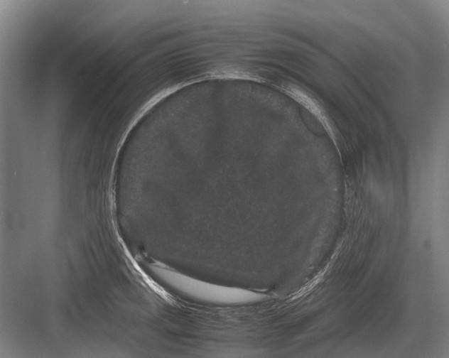 X0000082741141200702161926