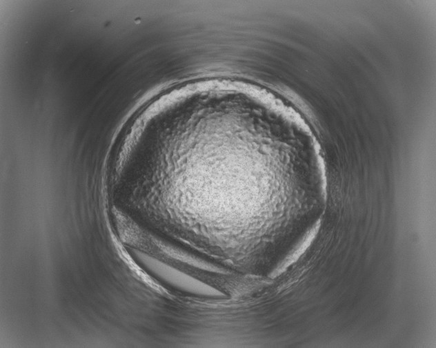 X0000082741142200702161926