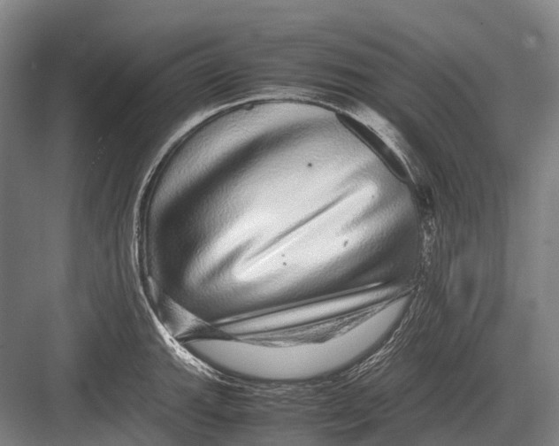 X0000082741143200702161926