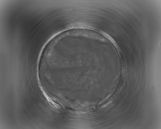 X0000082741144200702161926