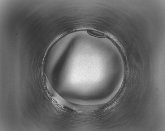 X0000082741145200702161926