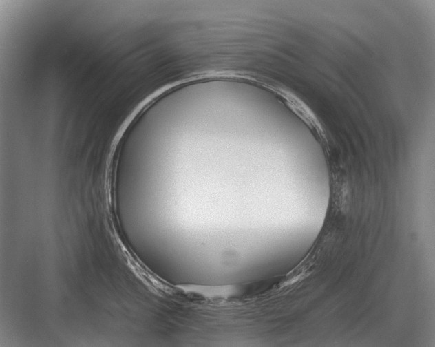 X0000082741148200702161926