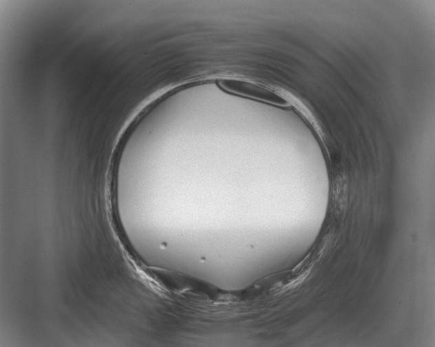 X0000082741149200702161926