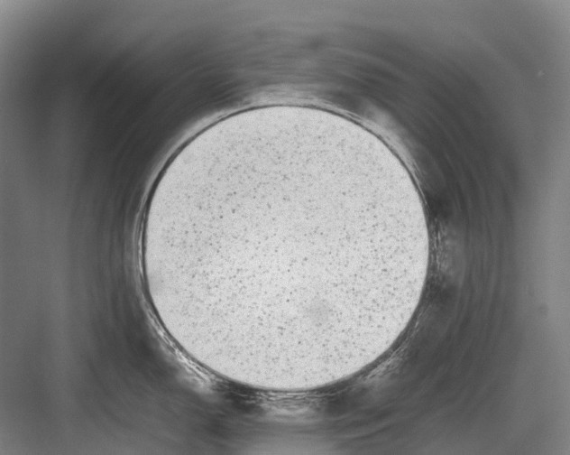 X0000082741150200702161926