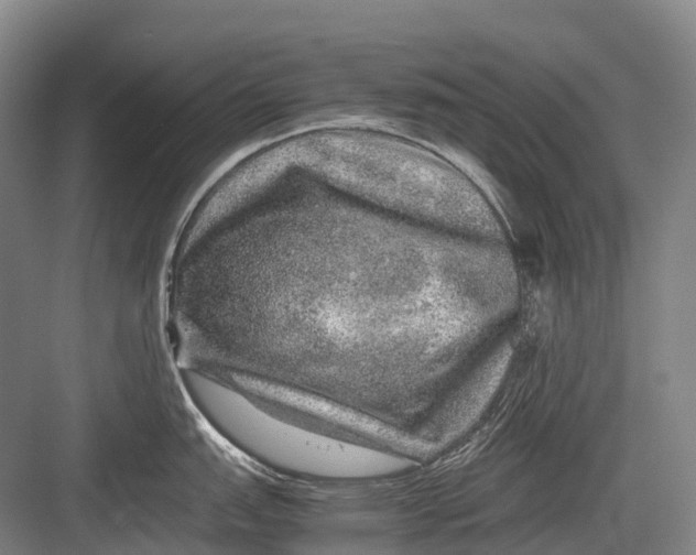 X0000082741151200702161926