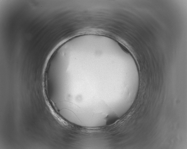 X0000082741152200702161926