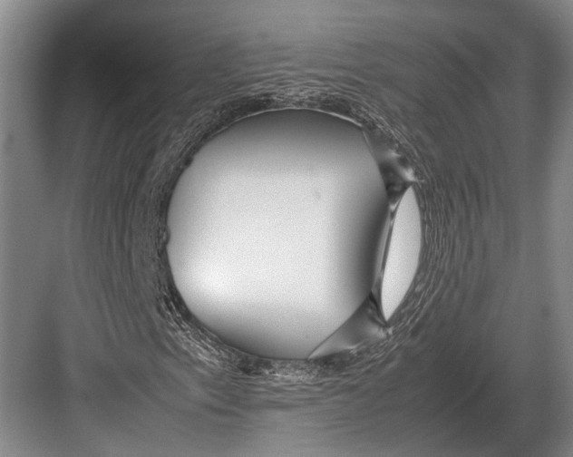 X0000082741153200702161926