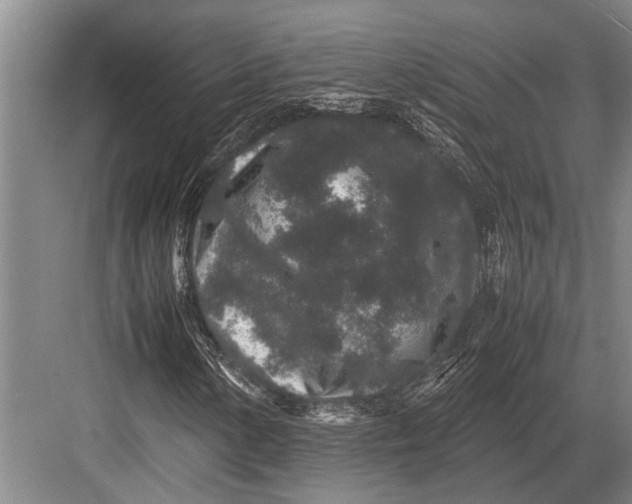 X0000082741154200702161926