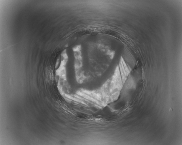 X0000082741155200702161926