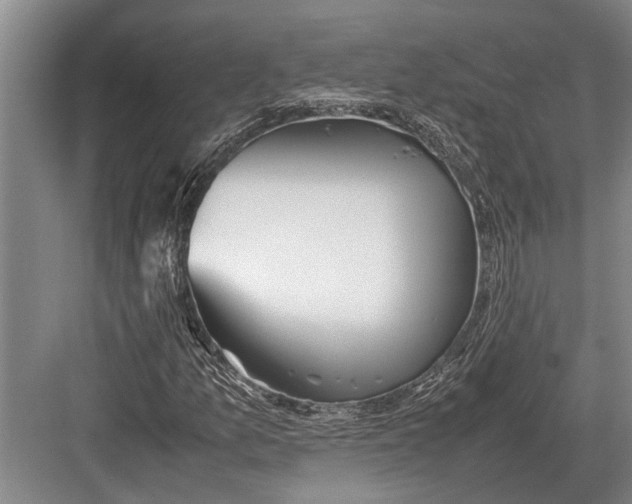 X0000082741157200702161926