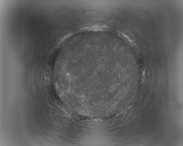 X0000082741158200702161926