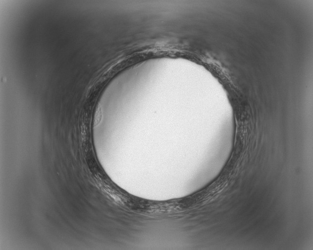 X0000082741159200702161925