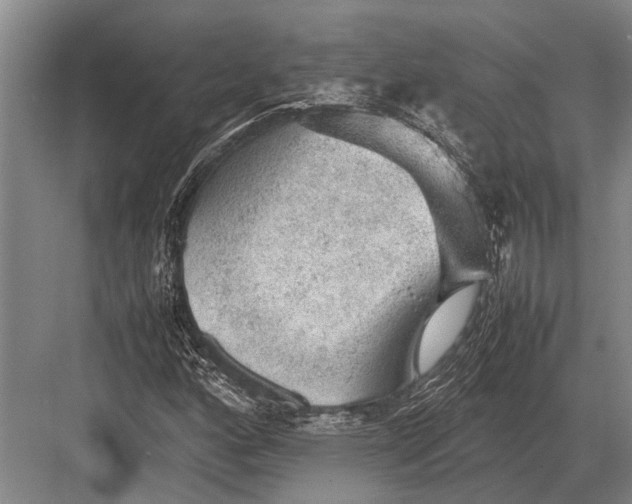 X0000082741160200702161925