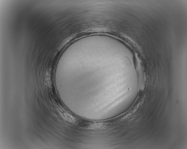 X0000082741162200702161925