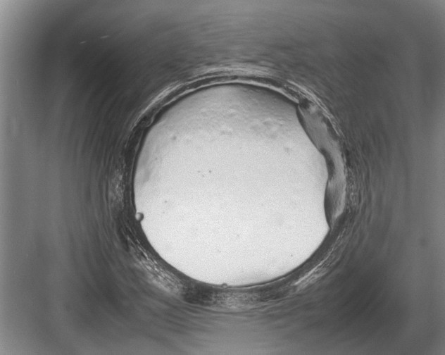 X0000082741163200702161925