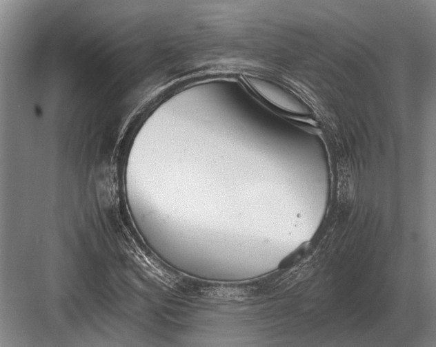 X0000082741164200702161925