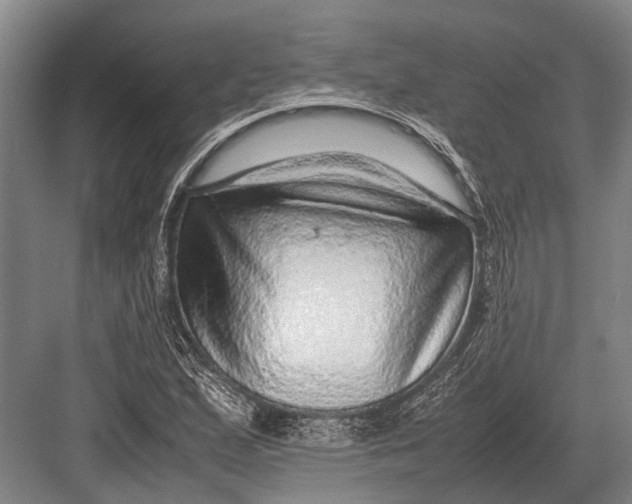 X0000082741167200702161925