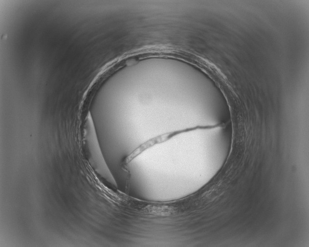 X0000082741168200702161925