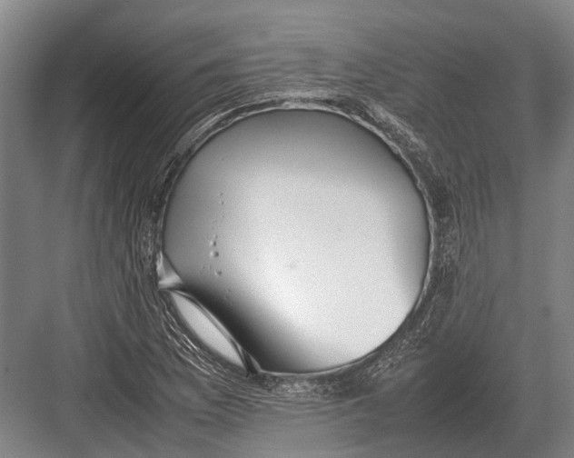 X0000082741169200702161925