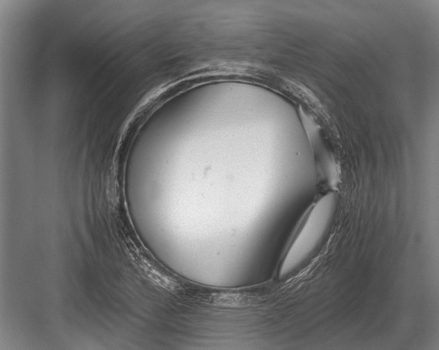 X0000082741172200702161925