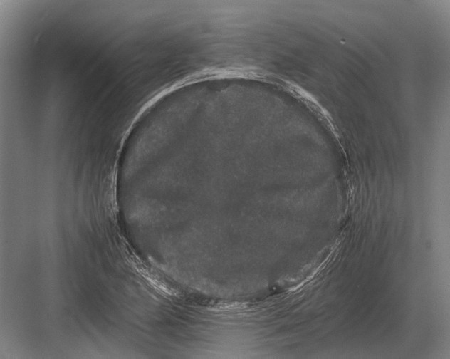 X0000082741174200702161925