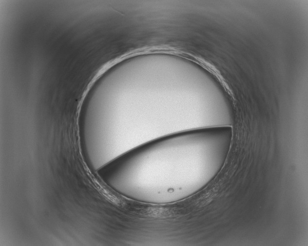 X0000082741176200702161925