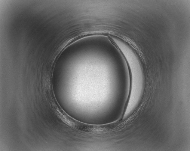 X0000082741177200702161925