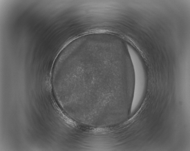 X0000082741178200702161925