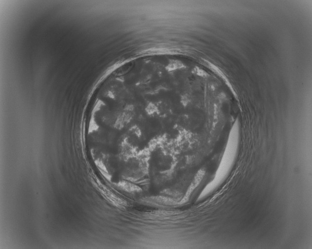 X0000082741179200702161925