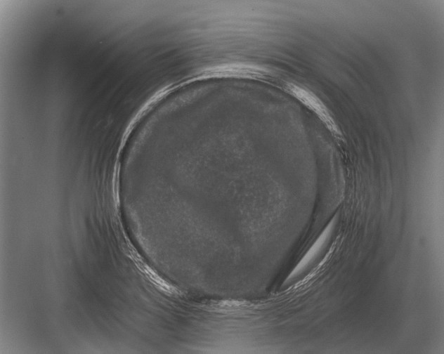 X0000082741180200702161925