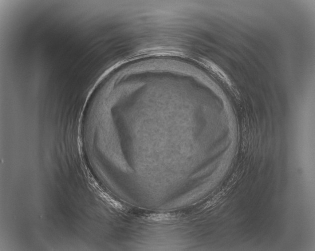 X0000082741182200702161925