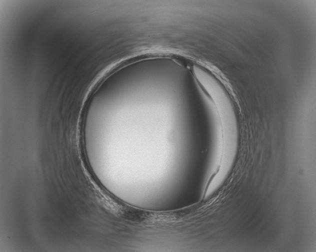 X0000082741183200702161925