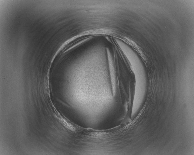 X0000082741184200702161925