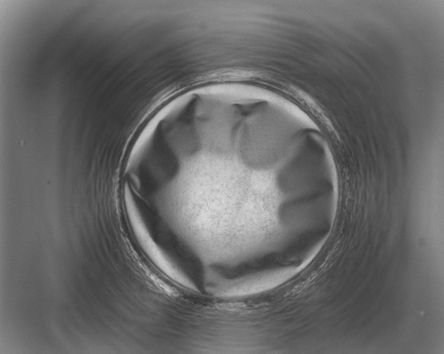 X0000082741186200702161925