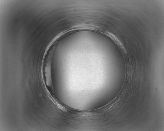 X0000082741188200702161925