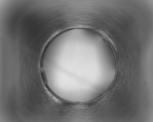 X0000082741189200702161925