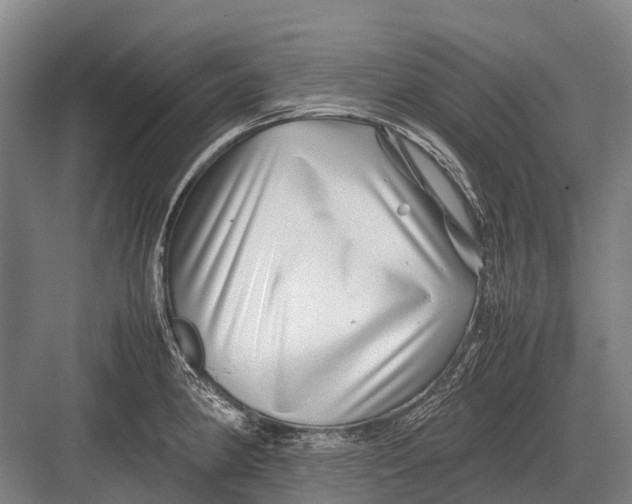 X0000082741190200702161925